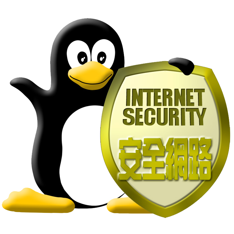 安全網路